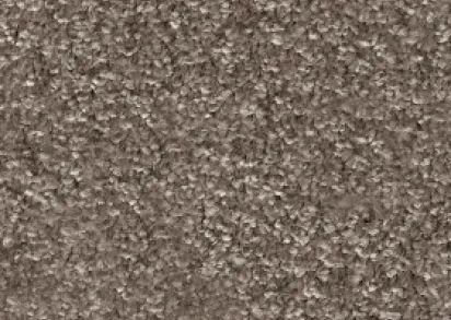 INVICTUS Priscus Priscus 40