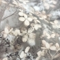 https://voronezh.don-oboi.ru/cache/goods_photos/88x88x1xdoycynm4b5.jpg